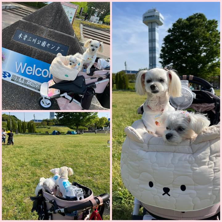 93ed9a4b 8396 41ec ad6a 02a44036665c 1716039650551