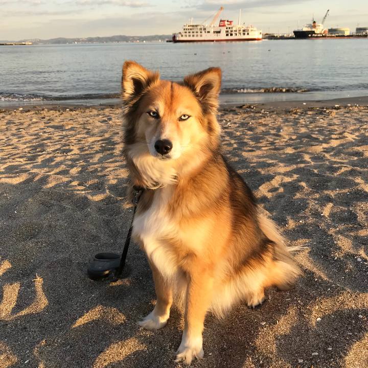 93edd841 c5b7 4754 97b4 850954893acf 1517297266855