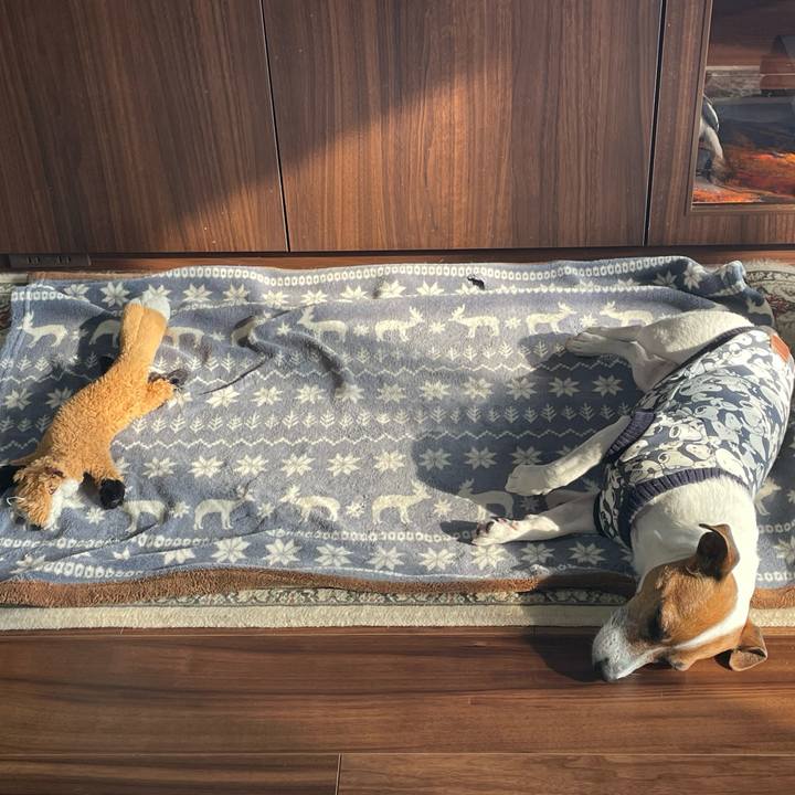 93edd9d4 ca13 4370 be63 e27ccf79476f 1739764961737