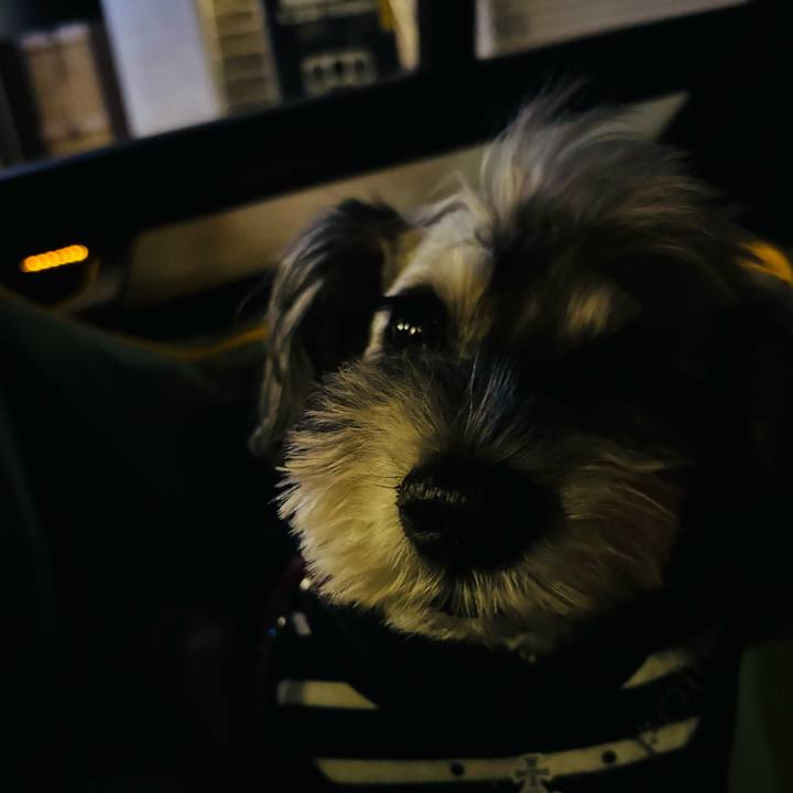 93ede334 a313 481b 808d 2e94ec784de2 1762173792422