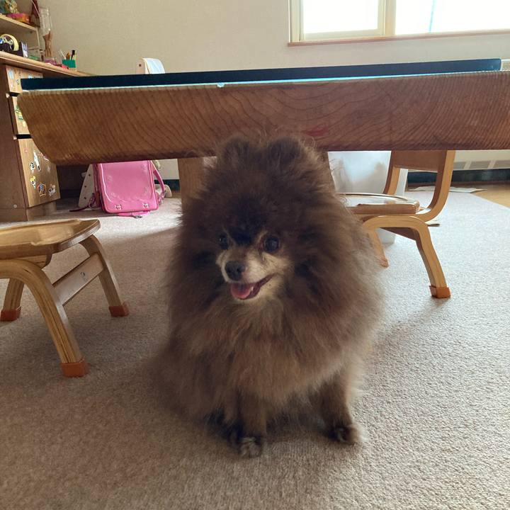 93ede9d6 cdc1 4e6d aab7 80b43417080c 1724880328986