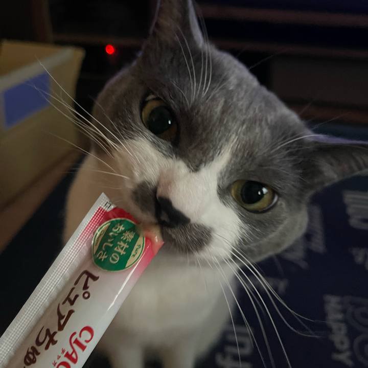 93ee4b88 4d56 4217 9ded 141d05a4c5a9 1699252051487