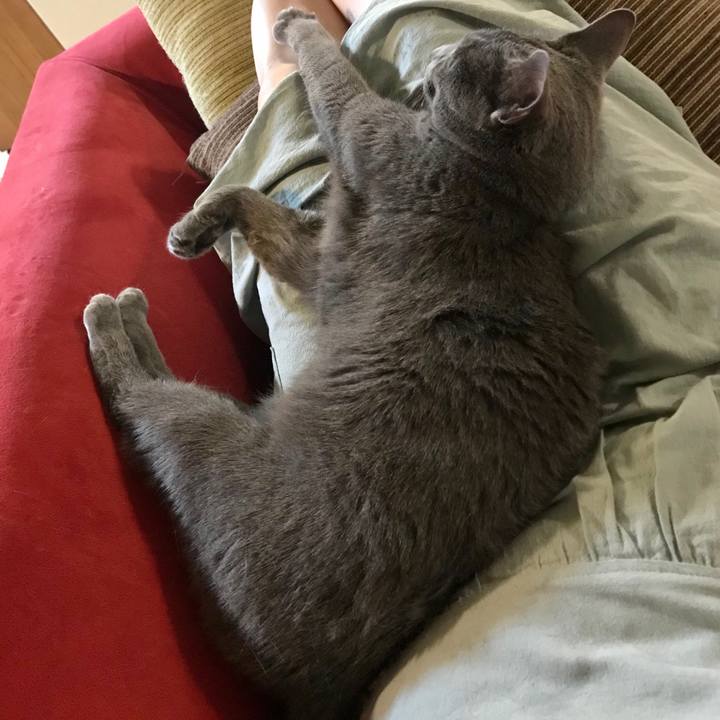 93eec131 ae0f 4f8b 86ef 447fb5af7887 1623385298031