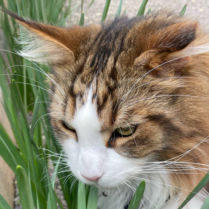 93eec1e1 3a3d 4bfa 94a6 d9d284036720 1683163542852