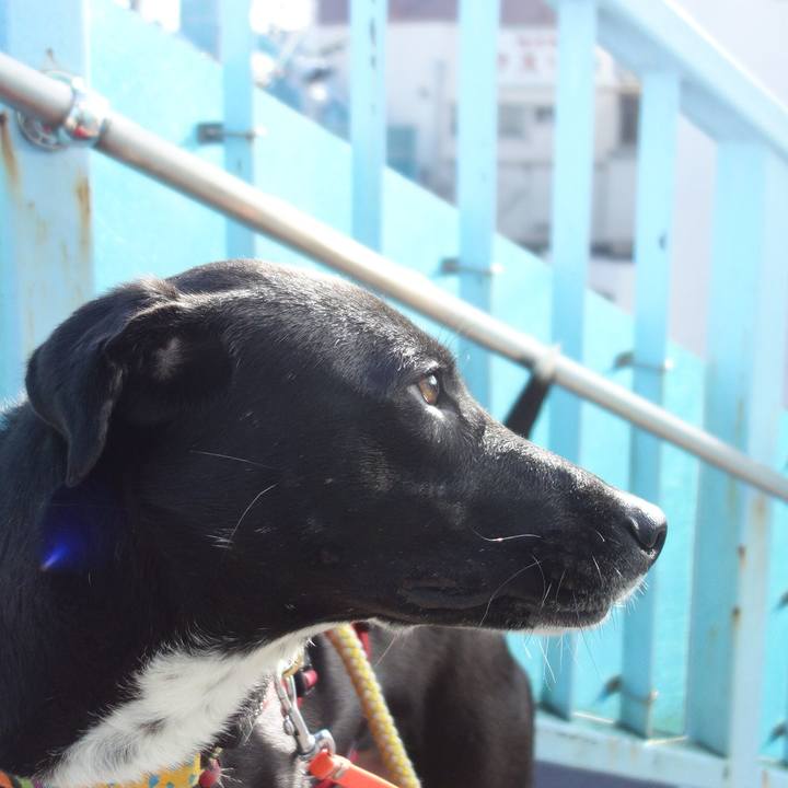 93eec538 5ede 487f 8239 f2a48fd67a61 1584750921326