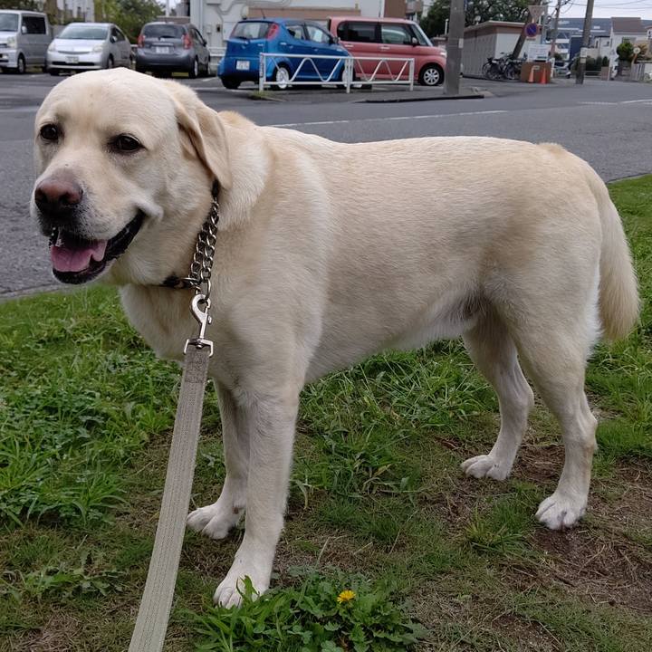 93ef3752 8731 4204 bbc8 036e4ac5b3cd 1600654612754