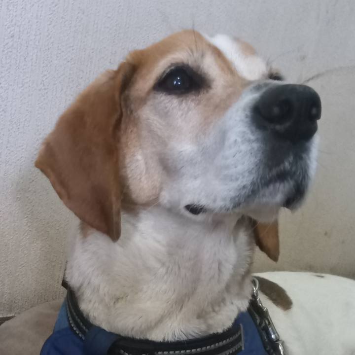 93ef4cfd a5f0 44f0 9533 6741d74a0689 1746866888375