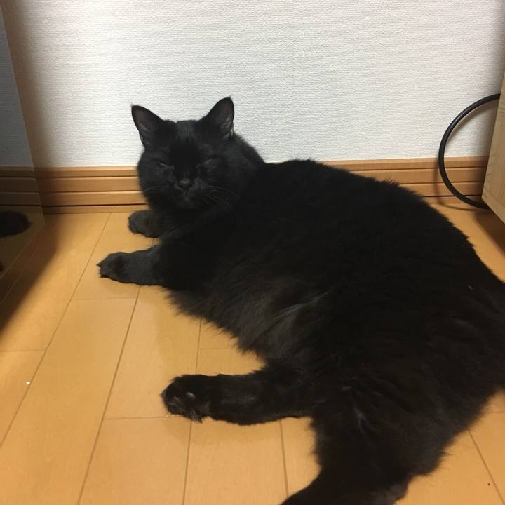 93ef55c8 f767 4817 b794 f0e413aab43c 1570088877690