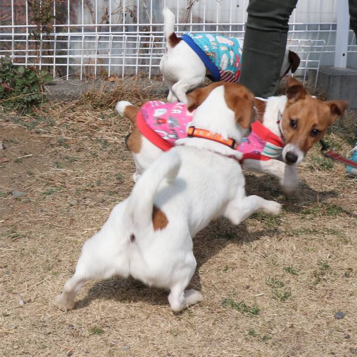 93ef857b e063 4a51 bfcf 945fb985f81e 1519541815215