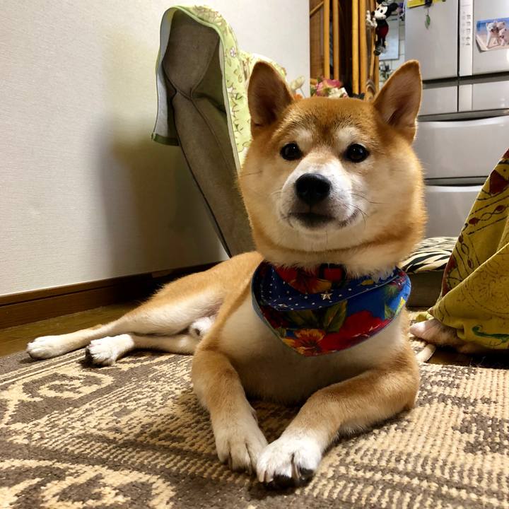 93ef8b1f b8f5 4cab bff7 55604d00d341 1538184747007