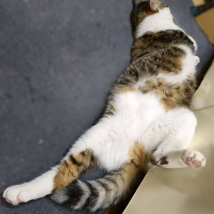 93efdfdb e299 4afe 8fd4 e53397795ea1 1667820917875