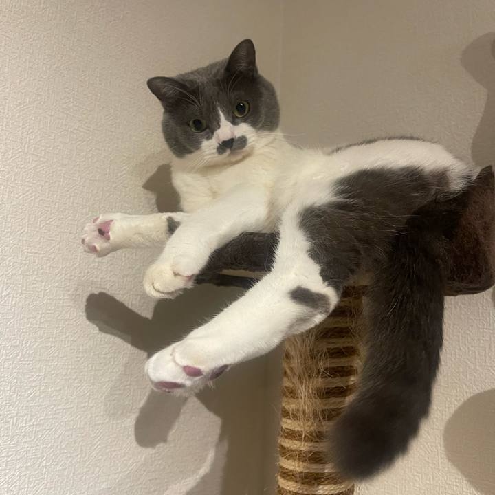 93efe226 b7fa 4414 bd45 8672995b81b2 1733592113554