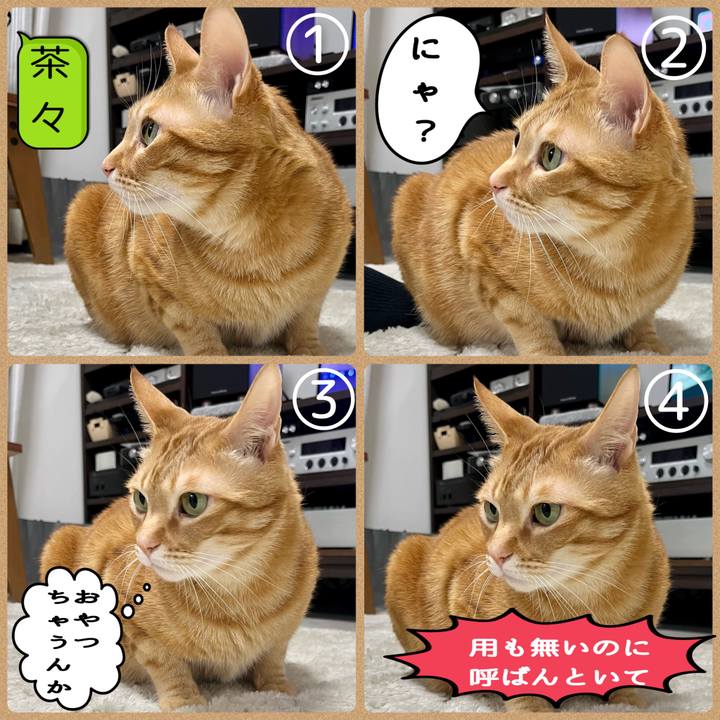 93effbcc a6b4 4d28 96da a926b99c9d91 1679608864189