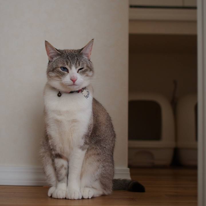 93f01674 f8bd 4782 ab80 5d3a2fdefac9 1556424432770