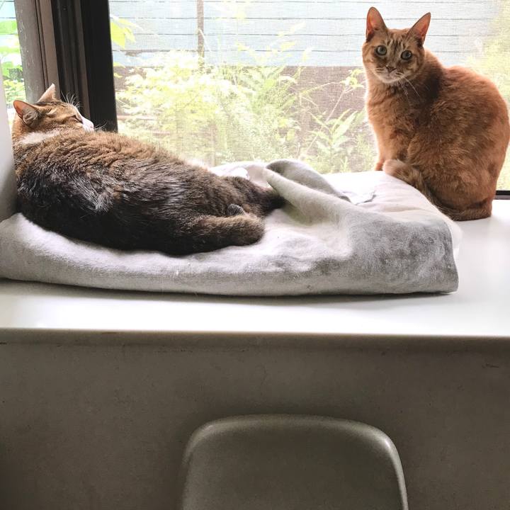 93f08f01 4988 4ec9 995b f938fb1b2b41 1593759930806