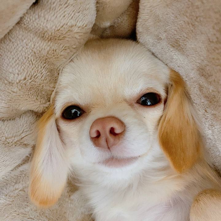 93f091e1 16f7 4d00 b236 3c6d92d7d6ee 1612431367973