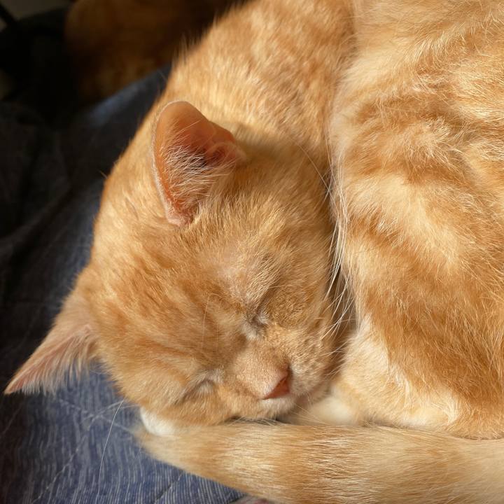 93f09a9f ab4c 4371 bdac 8d782d6193c9 1587689965766