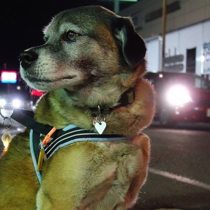 93f0a961 5ae4 47a0 8e00 b160e4b8046b 1520681804297