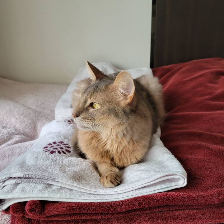 93f0b06f d68b 4937 9f12 78bc07ded0cf 1667785462286