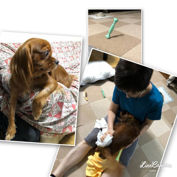 93f0cc02 6337 499f 99bc 0ac22c5f1a09 1533384060876