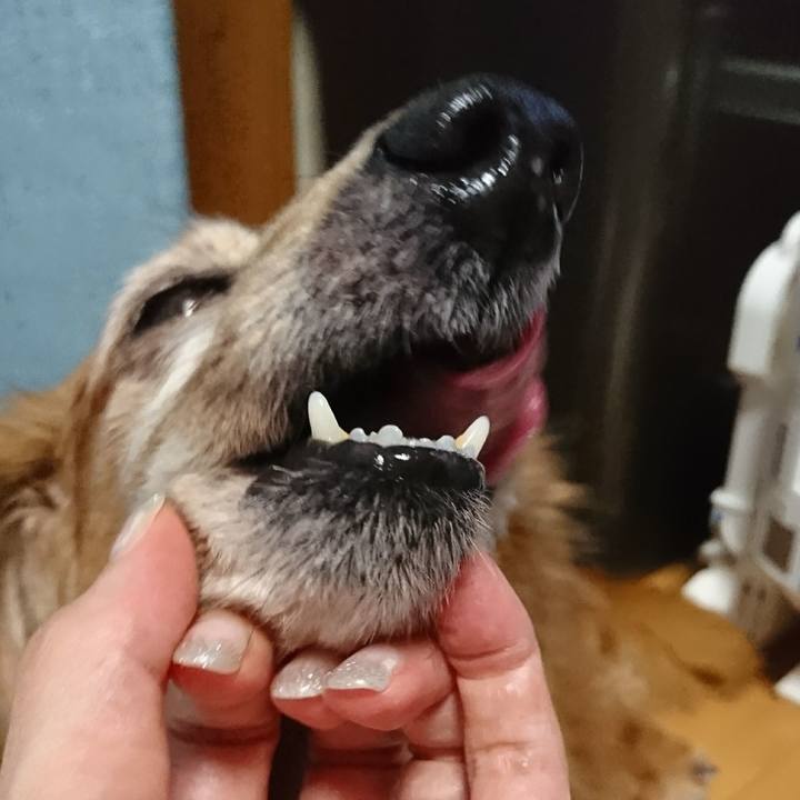 93f11b43 20d8 493e ac48 f1a5ef0f5835 1507460420363