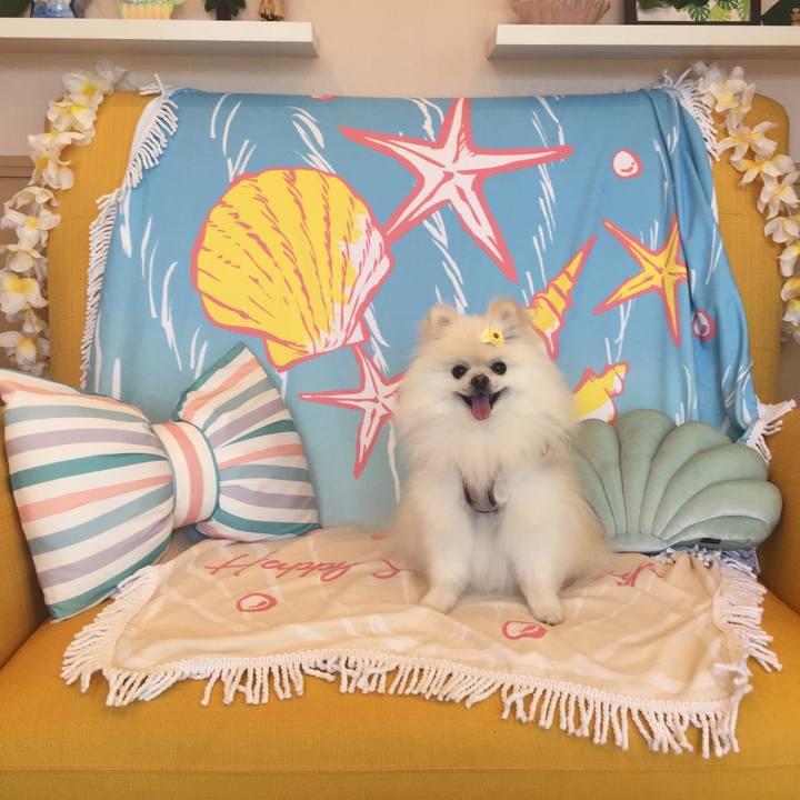 93f13710 9795 4cee 8d46 5d162e20e244 1565327691087