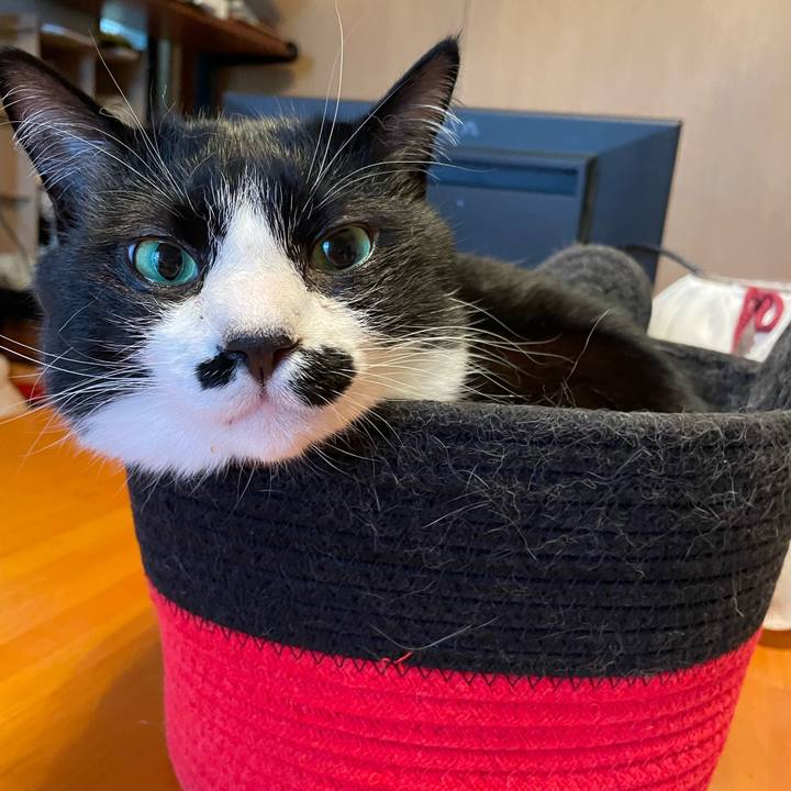 93f15890 68f8 490e ab35 c3e28ac0dc8d 1747455129720