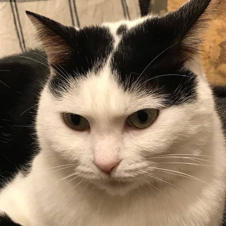 93f16b56 bfe6 4e70 b84e 5ad836c3b77c 1552181420461