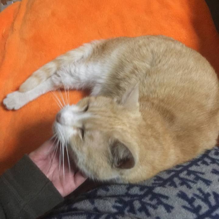 93f1753b cf32 4f69 9da0 23be2b4bc280 1521468901404