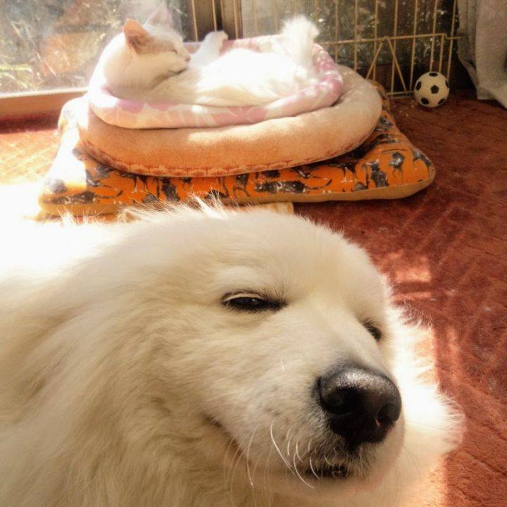 93f1d685 82b8 48ec a42b 521b9ff90892 1677726285741