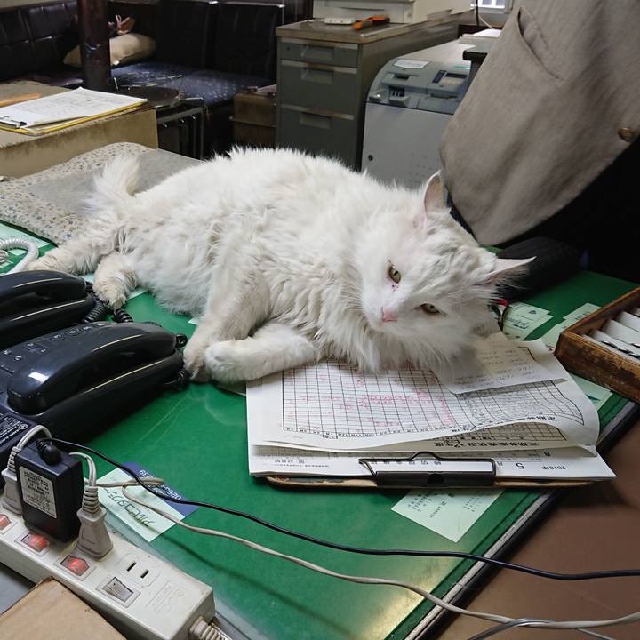 93f1e44b 9295 4324 a2c8 d0196fdb9899 1525904718938