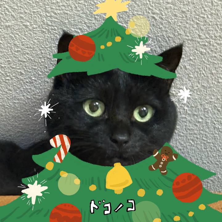 93f1e4b4 fd40 480c 9b2e 1e5047d1ce64 1764201551527