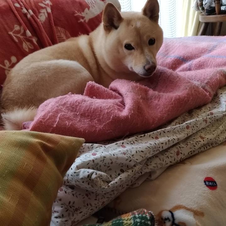 93f20516 b795 4cca a781 6498a49f263d 1613175697529