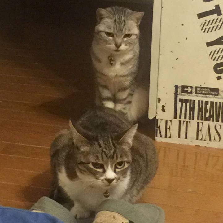 93f250f2 aed9 4dc5 855c 1555b6d00327 1559405615273