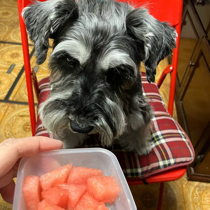 93f25c1a b915 464e b2af 5ec378fa0871 1717080052488