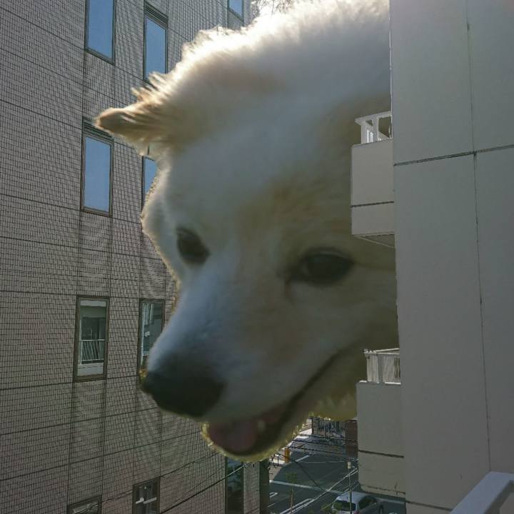 93f2d08f 4a74 4c29 954e 2af6eea2832c 1524221104948