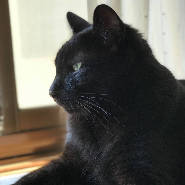 93f2d2cb c651 4247 a37a cf4ff8b8a45b 1531877752612