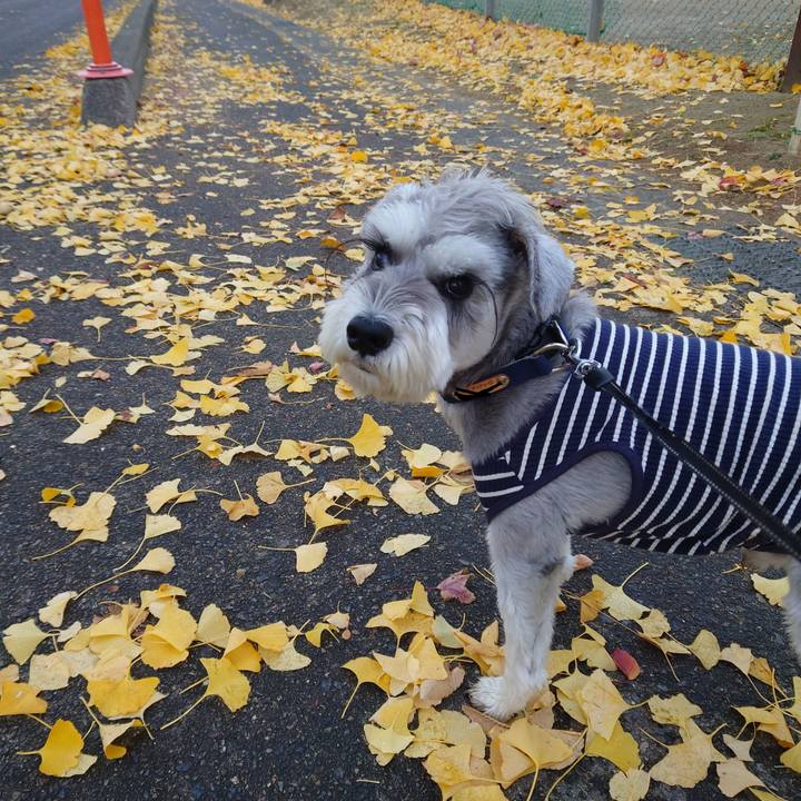 93f2e333 6938 4ca9 9eb9 fad4b60ba4c3 1763421838346