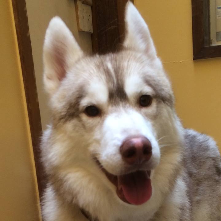 93f30bc2 9d12 48b2 8842 23bce025233a 1557705556504