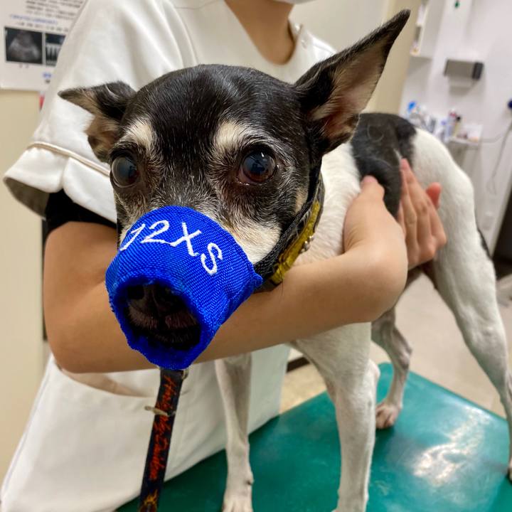 93f35287 da25 47b2 a397 b91231959f92 1603501260492