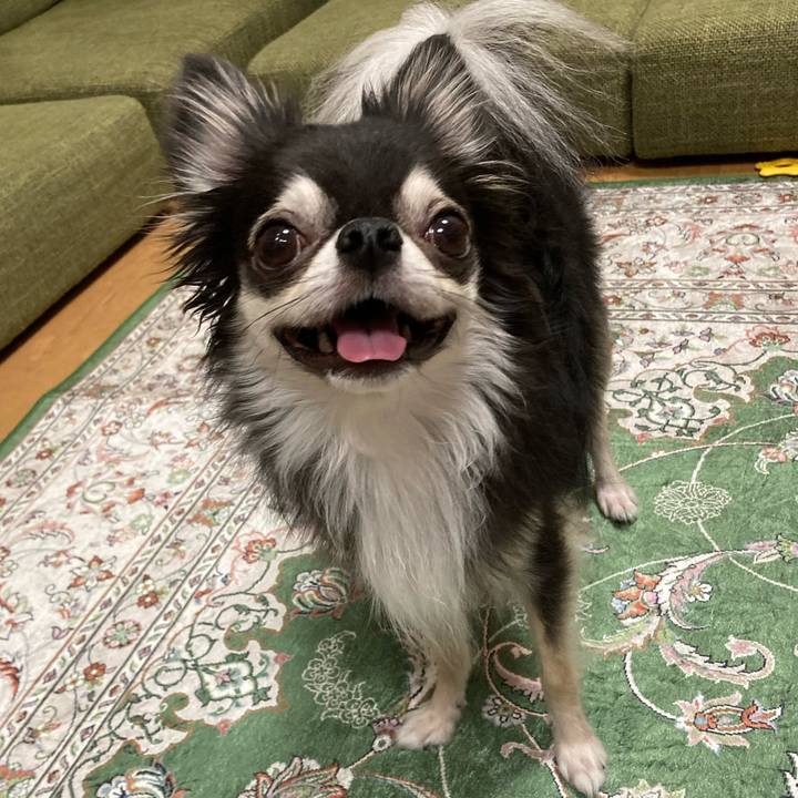 93f35b03 0561 4b94 b5ea 66ec32561c23 1665240938791