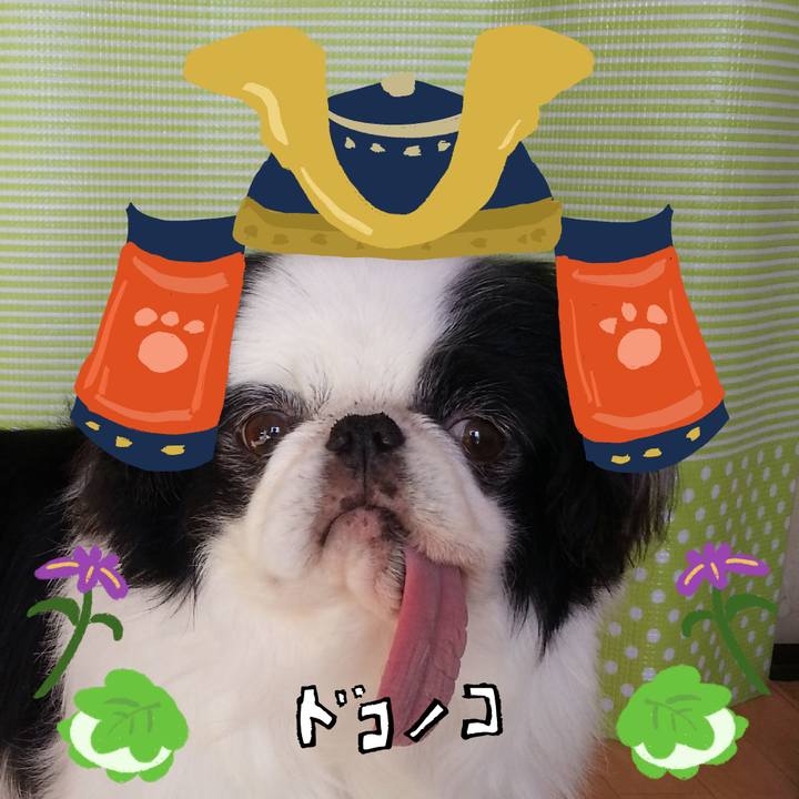 93f3ad40 b8fc 4b01 abd3 b4278e127cb5 1714884047685