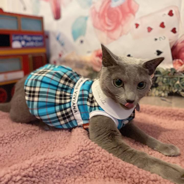 93f3c0a3 58f3 4956 921c dcca40222fbb 1707281237719