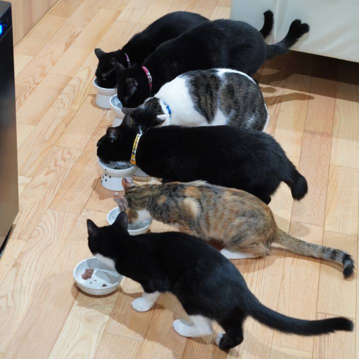 93f3dd60 d248 460d b3ce d0ccd45171c3 1579917096954