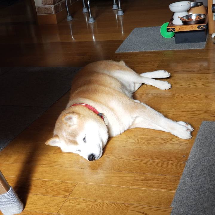 93f3de06 1843 45f2 9203 b6d3e500ce70 1735699977921