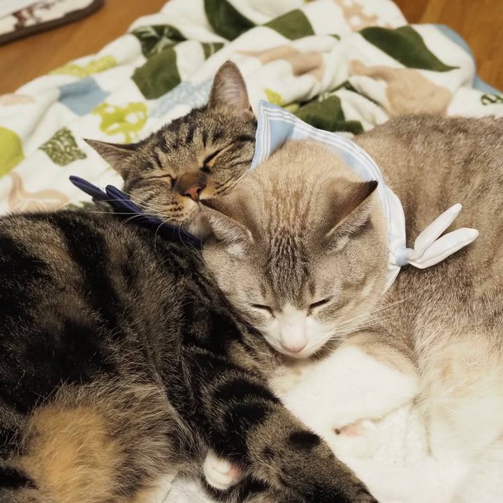 93f3e11c 743a 4a76 a098 4e38e99611f0 1608503836108