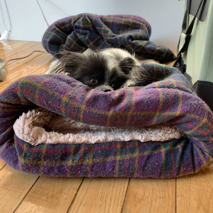 93f40225 ce48 4613 90ed a9eb55be4bbe 1576453849736