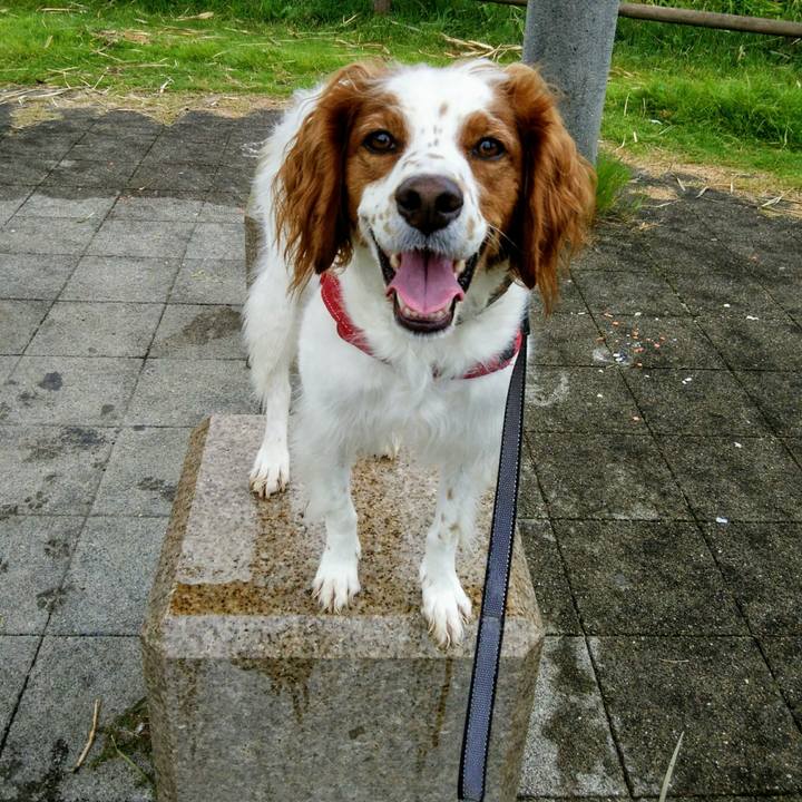 93f41853 7cc2 4e14 bad6 88ab8a930e59 1538643399845