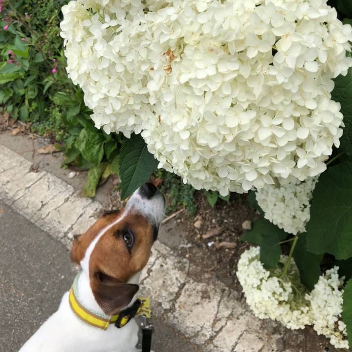 93f42593 97b2 40cc 8883 f277fe8404ec 1633835200215