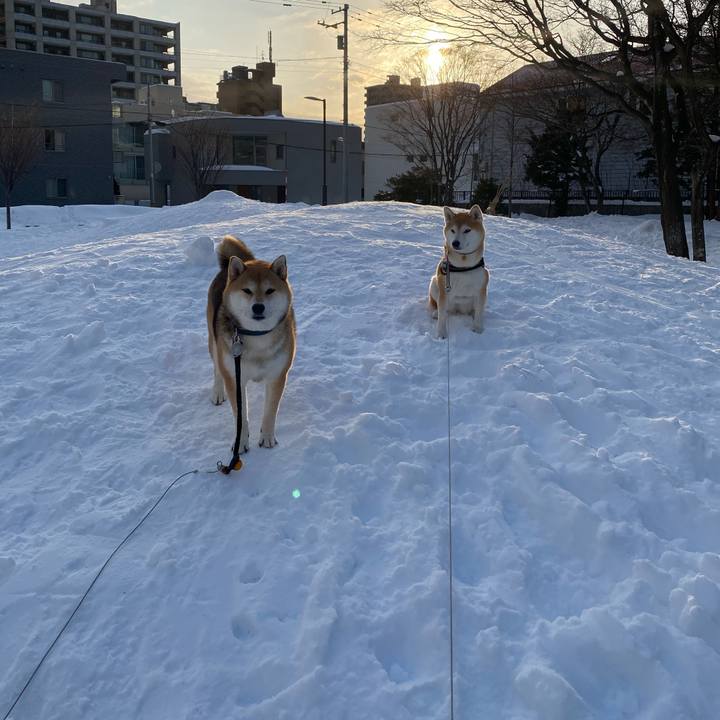 93f43920 6bb6 4570 8834 5adfab820525 1612159810807